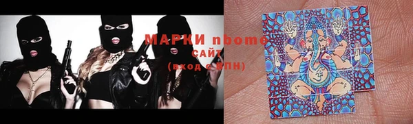 гашик Богородск